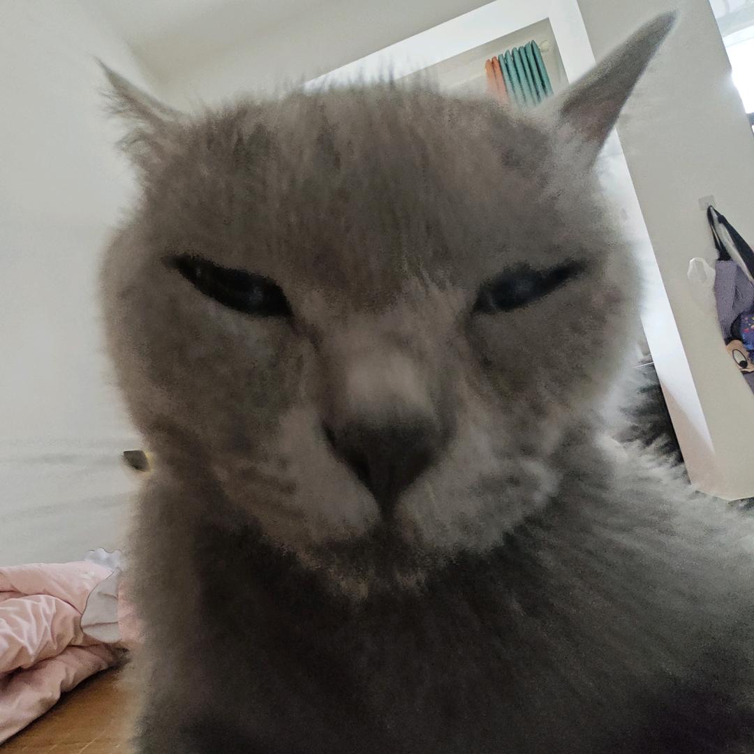 颜之有理