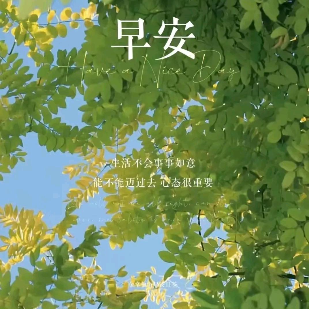 清风暖阳
