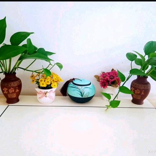小渝尔贝