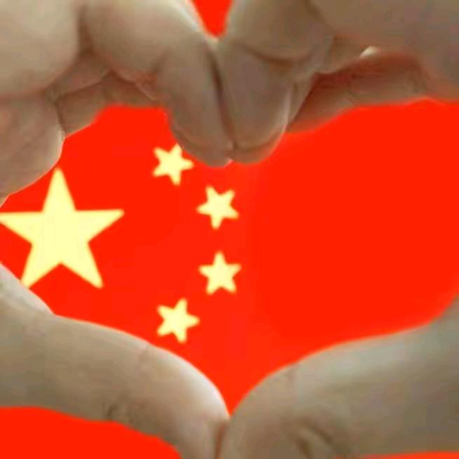 菩 提 树 下