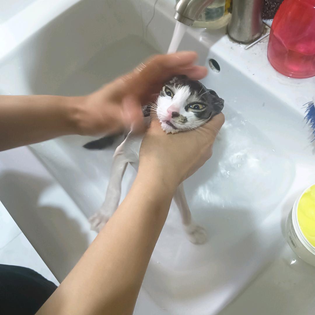 取啥名字不幼稚°ཀ°