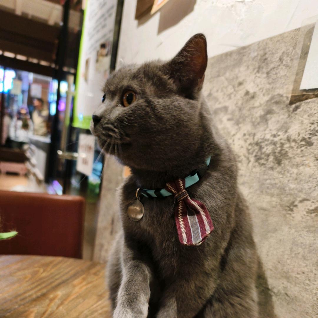 王前跑