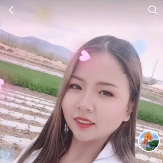 柠檬好物