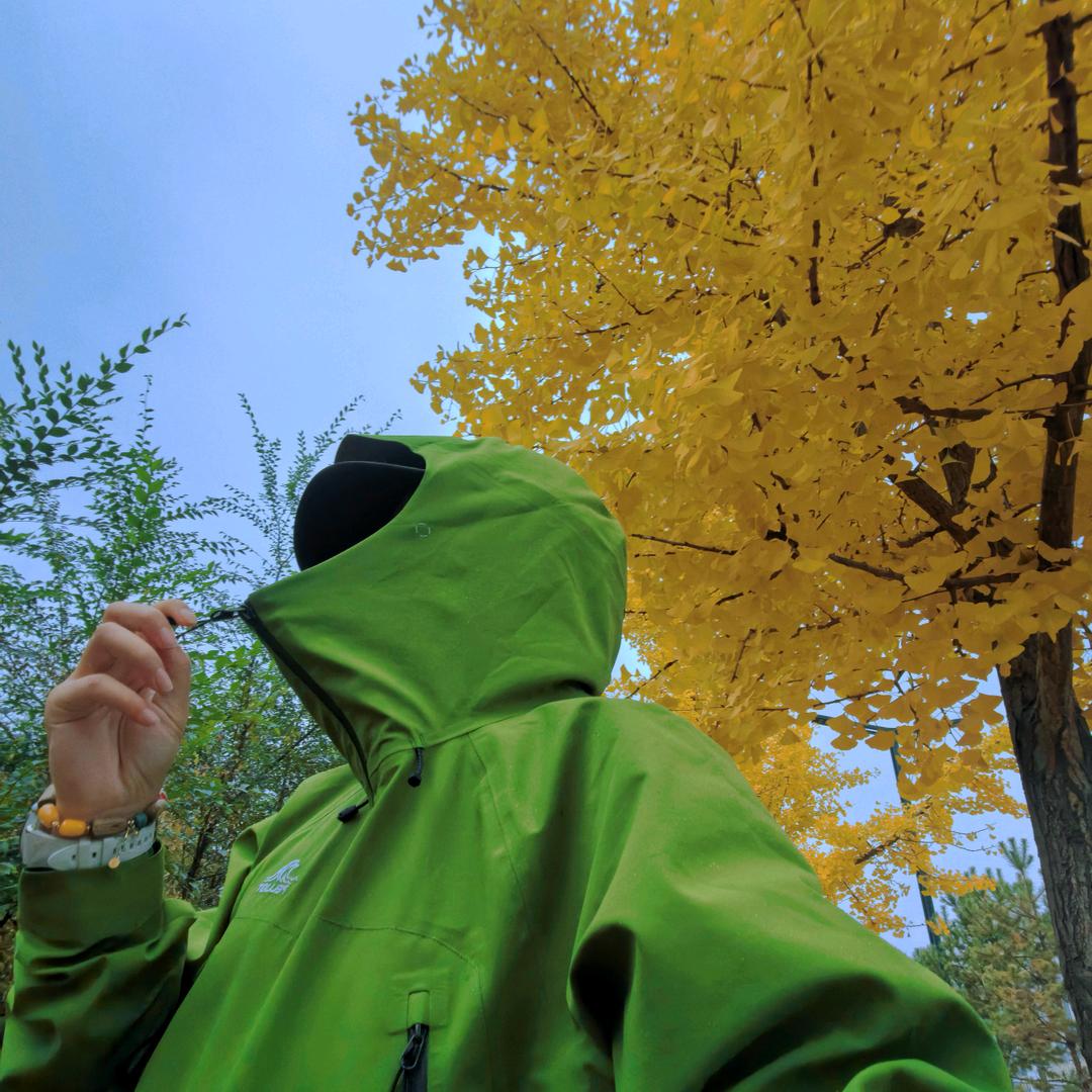 🥑🍇ጿ ኈ ቼ ዽ ጿ ኈ