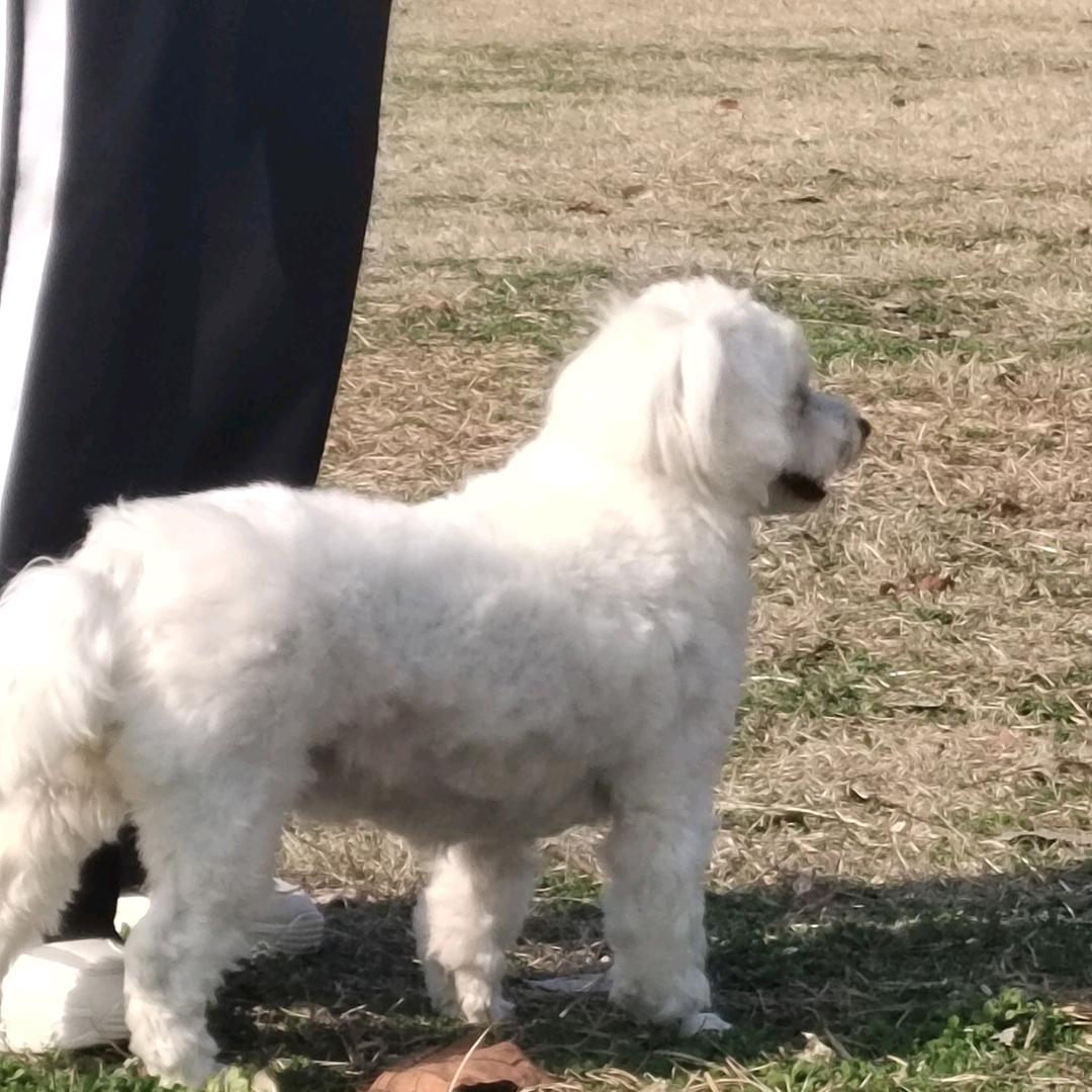 ～春眠不觉晓～