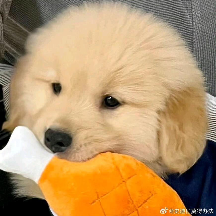 男的也漏腹肌大腿呗头像