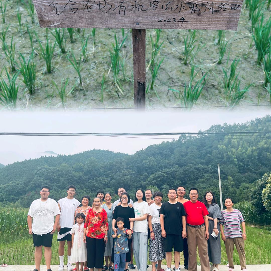 光合共享收获自然农场