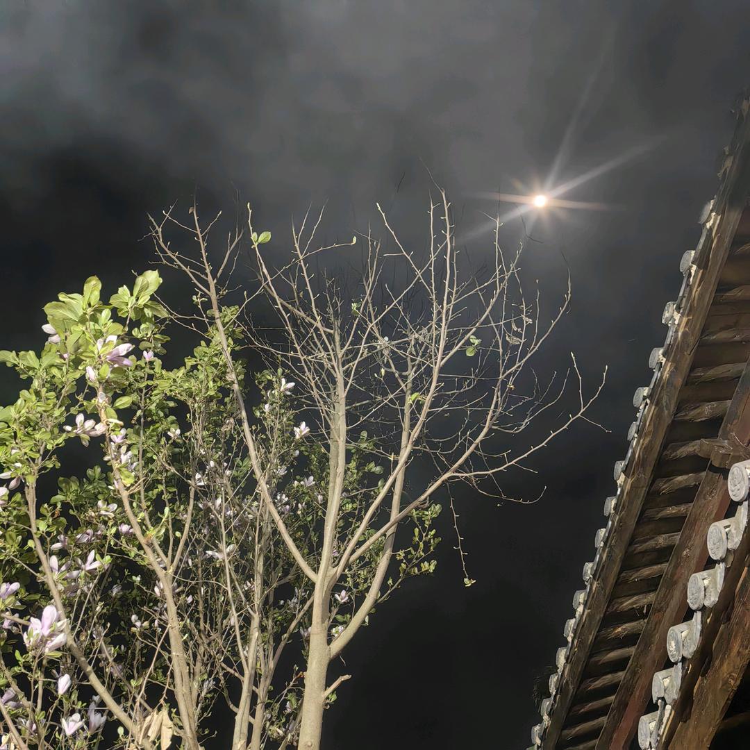 木光里花居小院