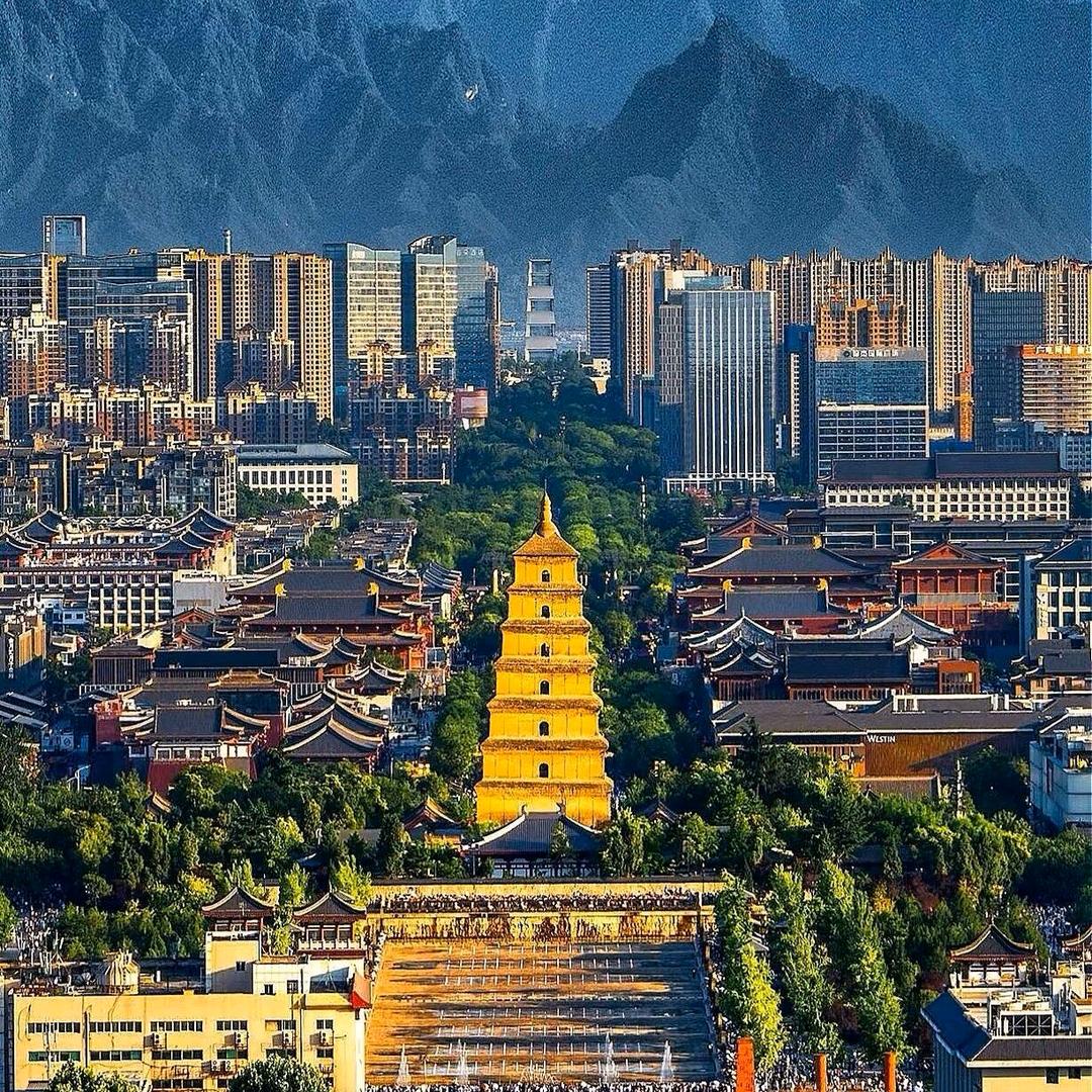 秒回师（倾听师）