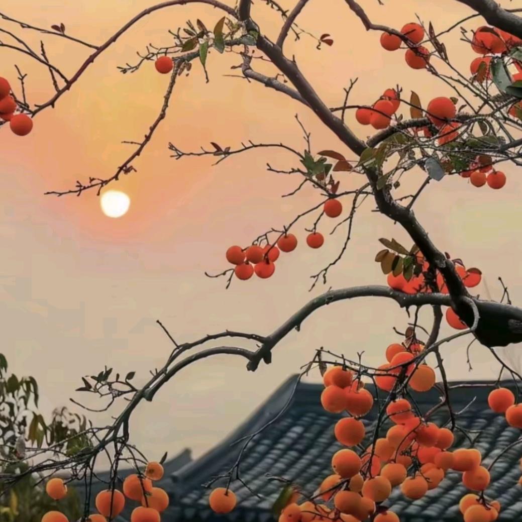 事事顺心
