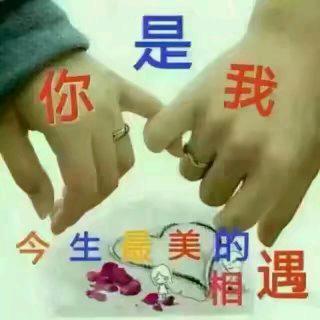 缘分《严》