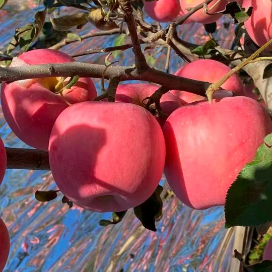 消防施工维保检测评估