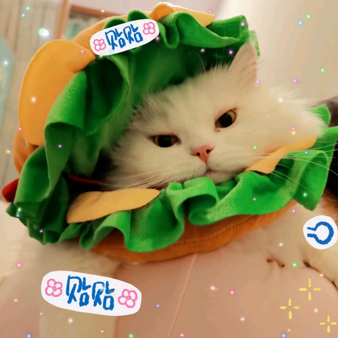 今天吱啊不画画