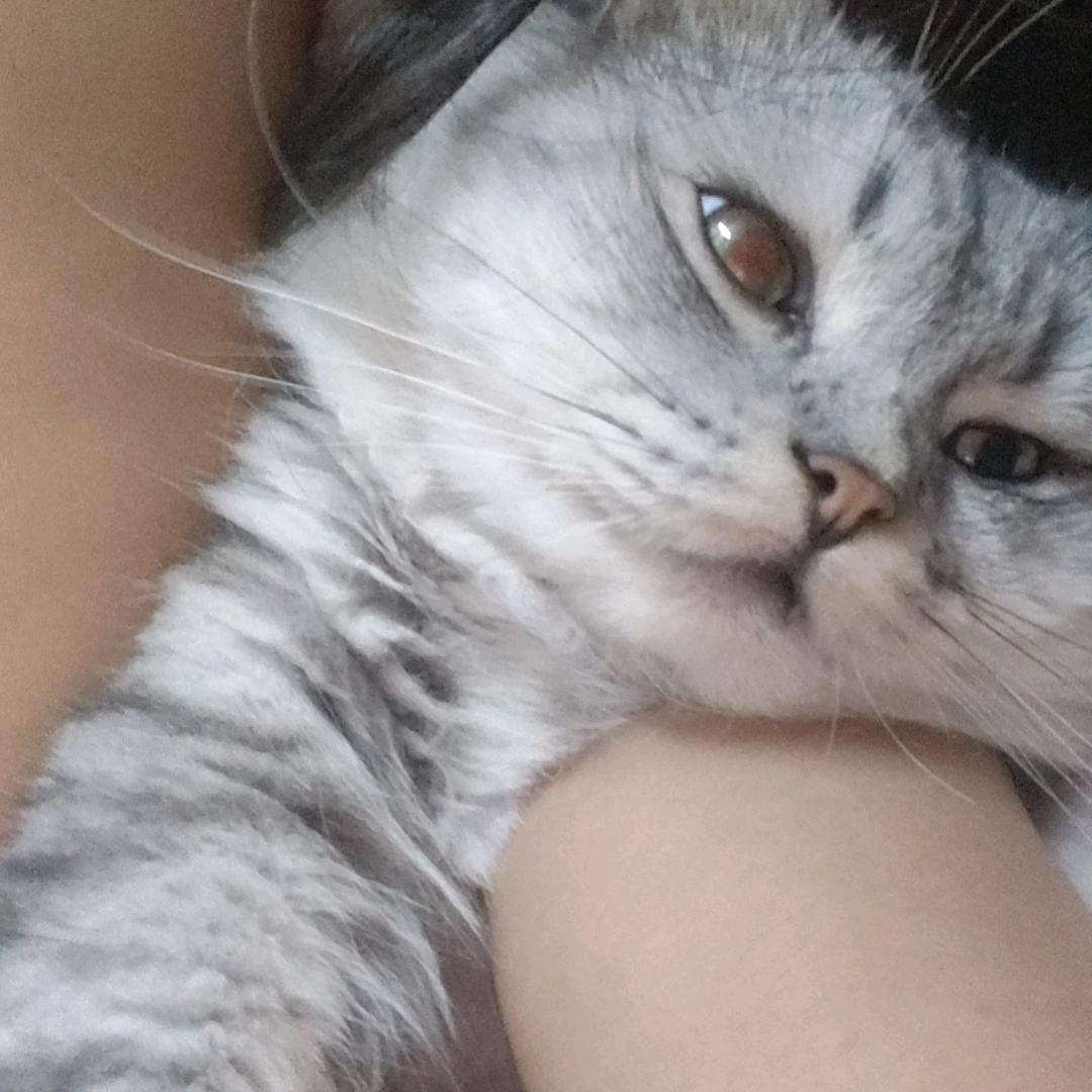 林玲