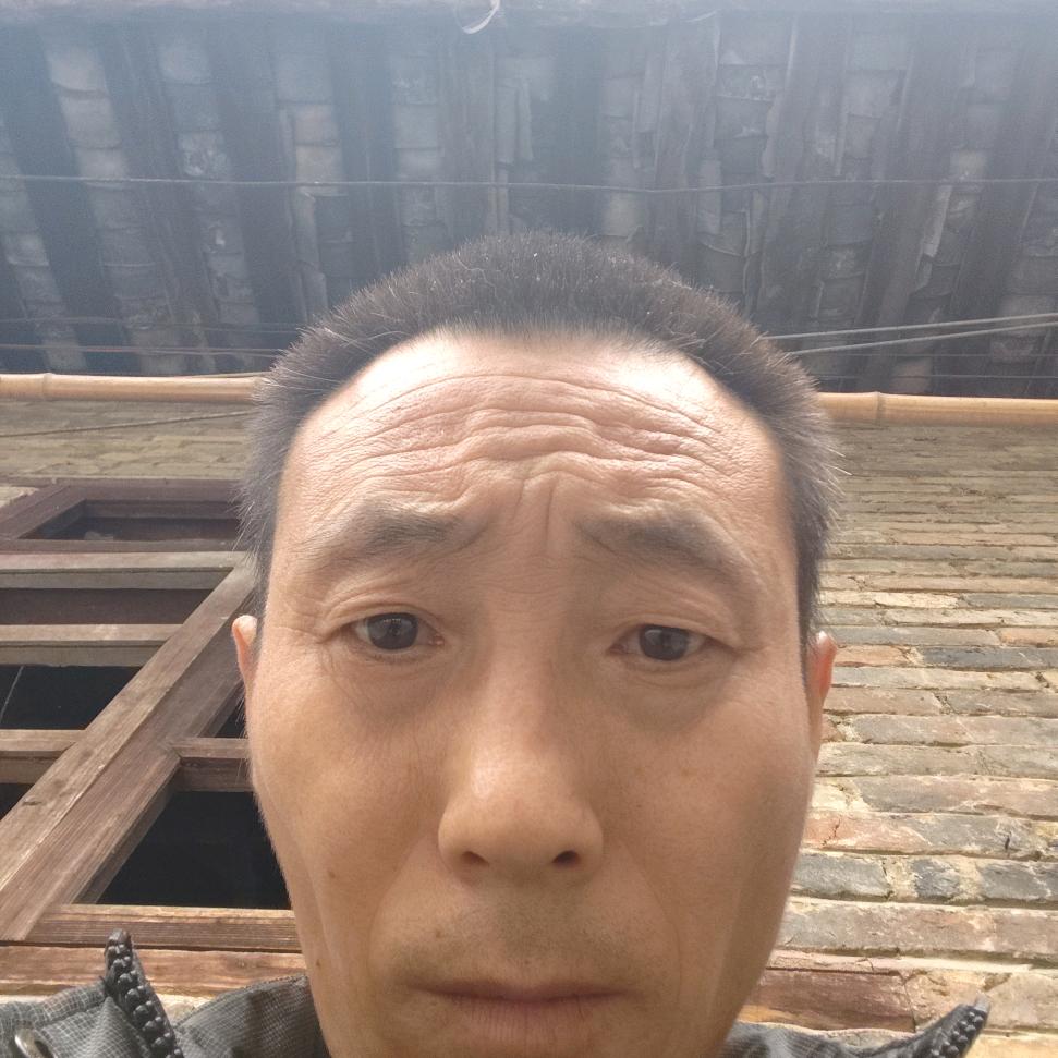 单纯的心