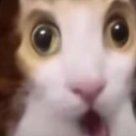 小瓜