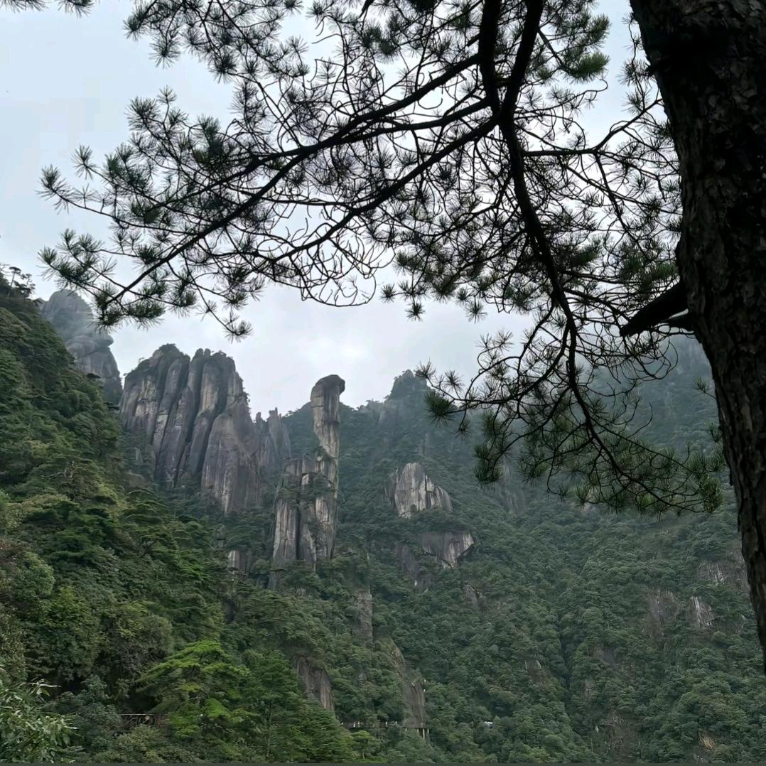 墨巅