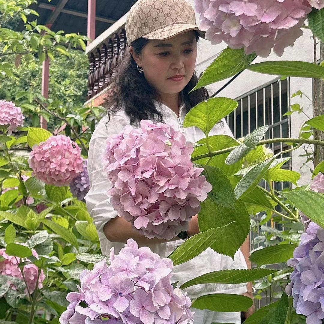 忆之鸟