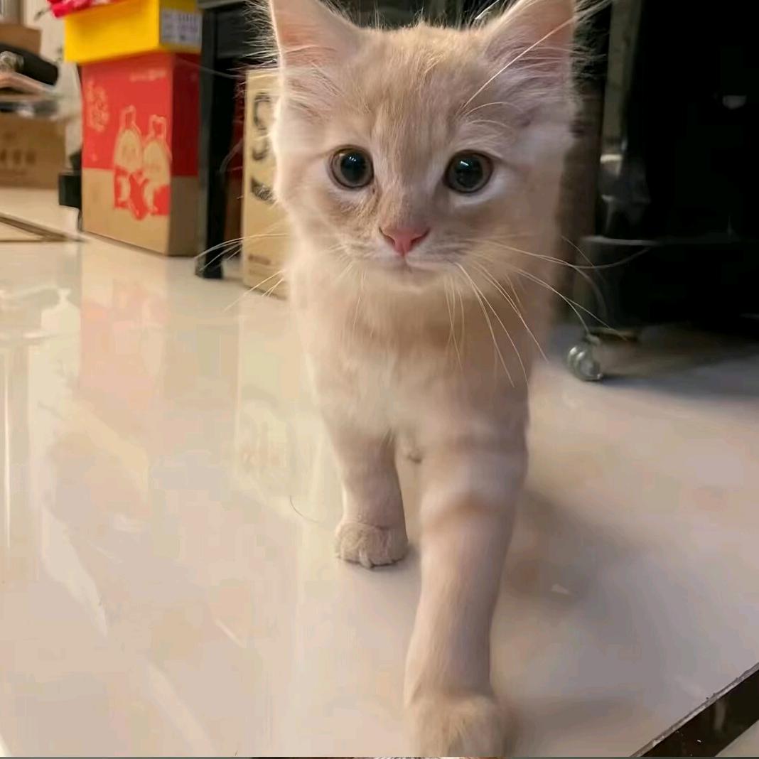 小乖～不乖