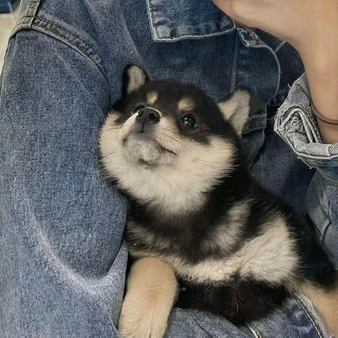佳佳。