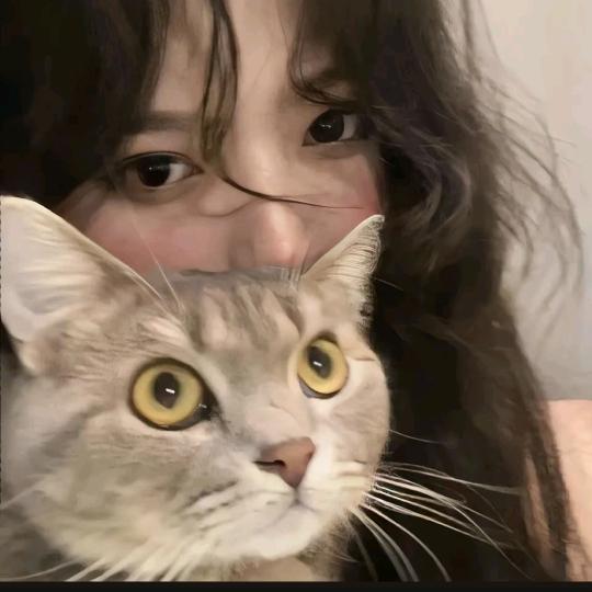 🐯.小霜妹妹
