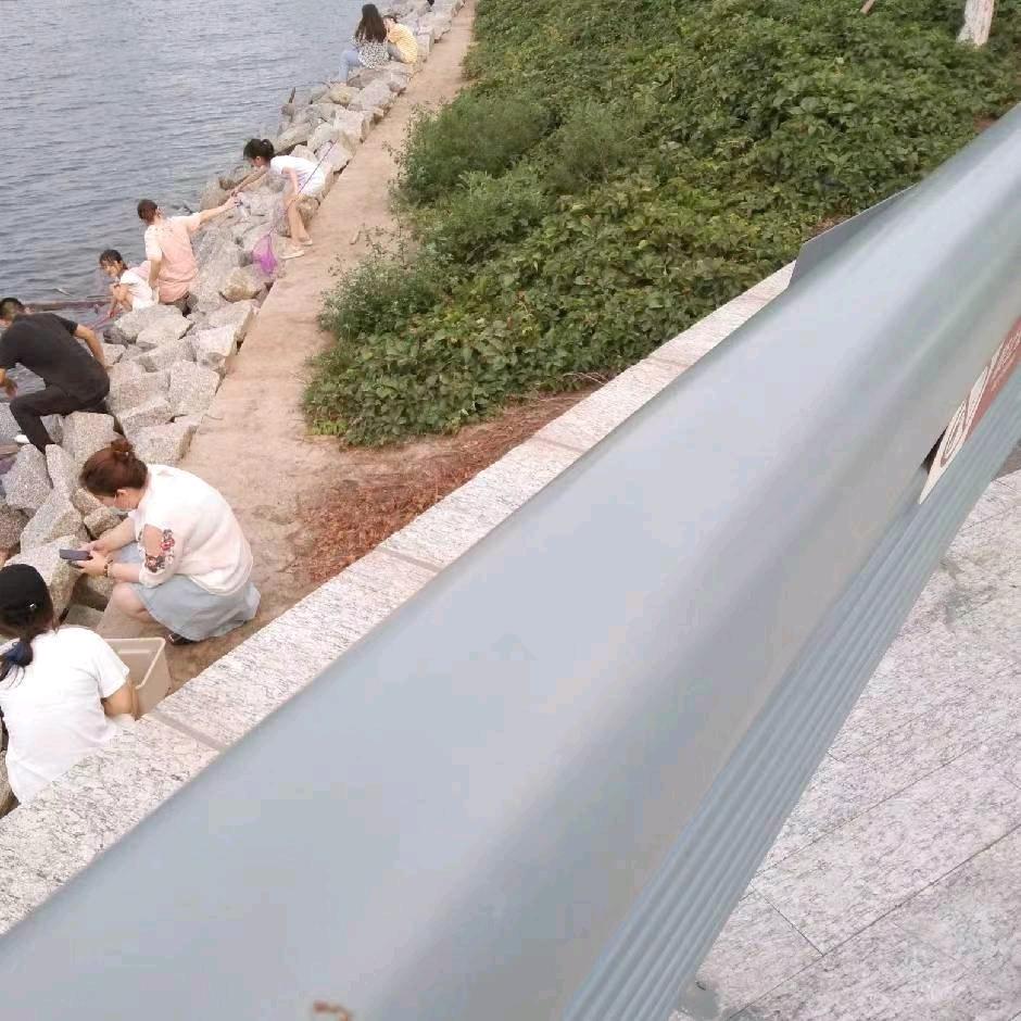老邵