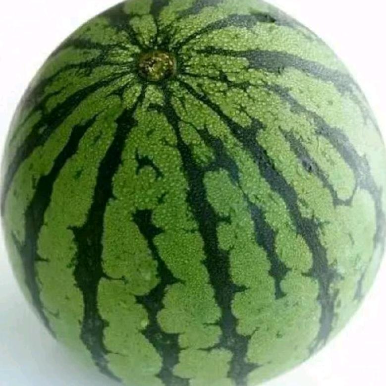 西瓜