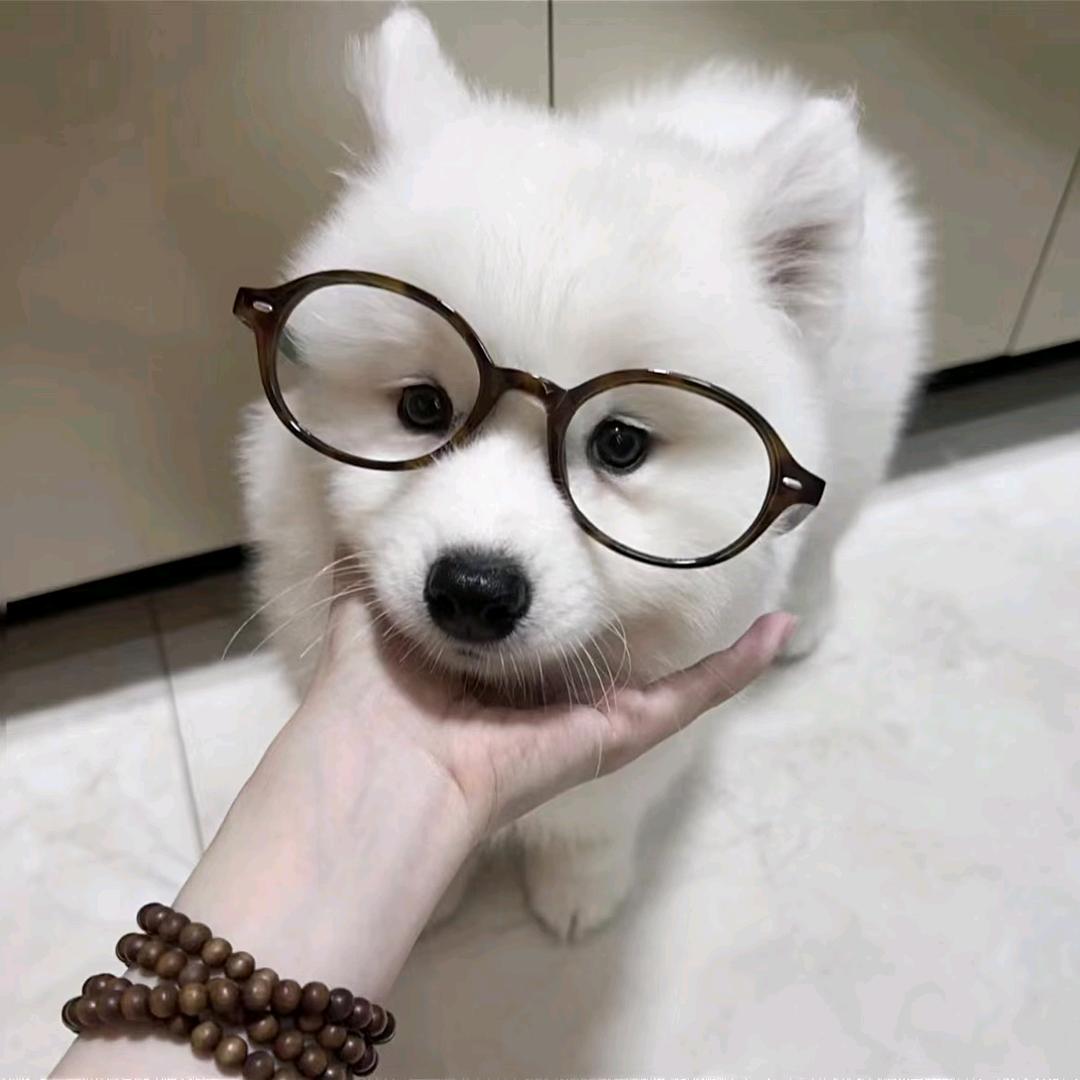 幼初