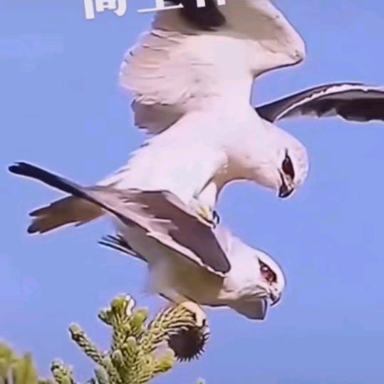 ！
