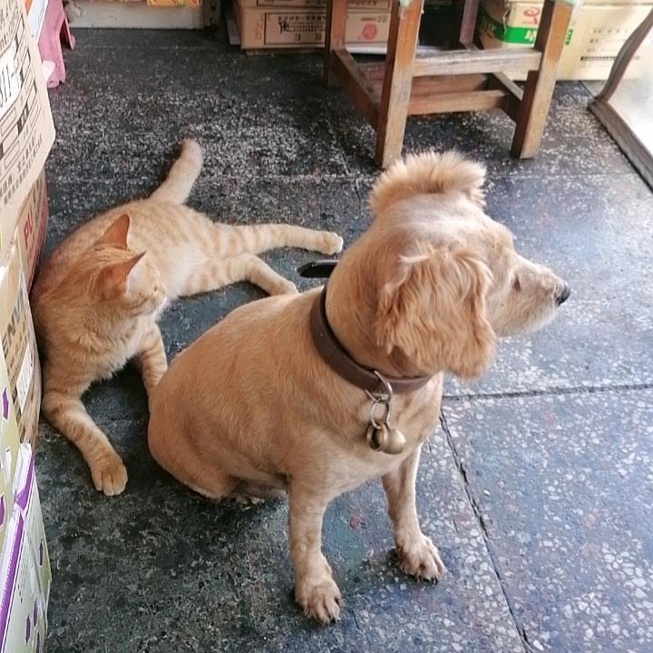 锁姐
