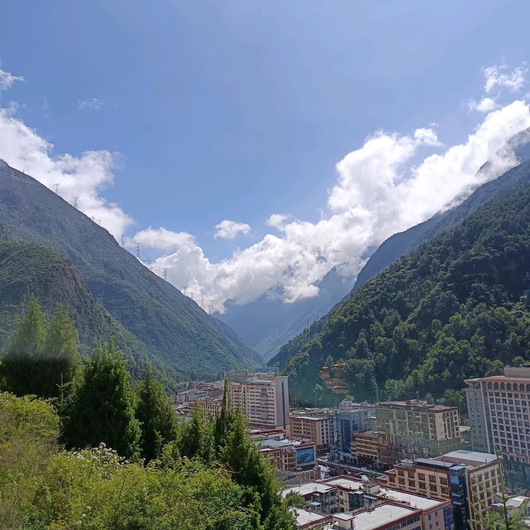 爱吃仙桃