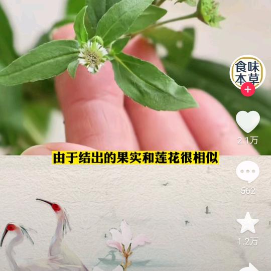 从头再来👐格局打开