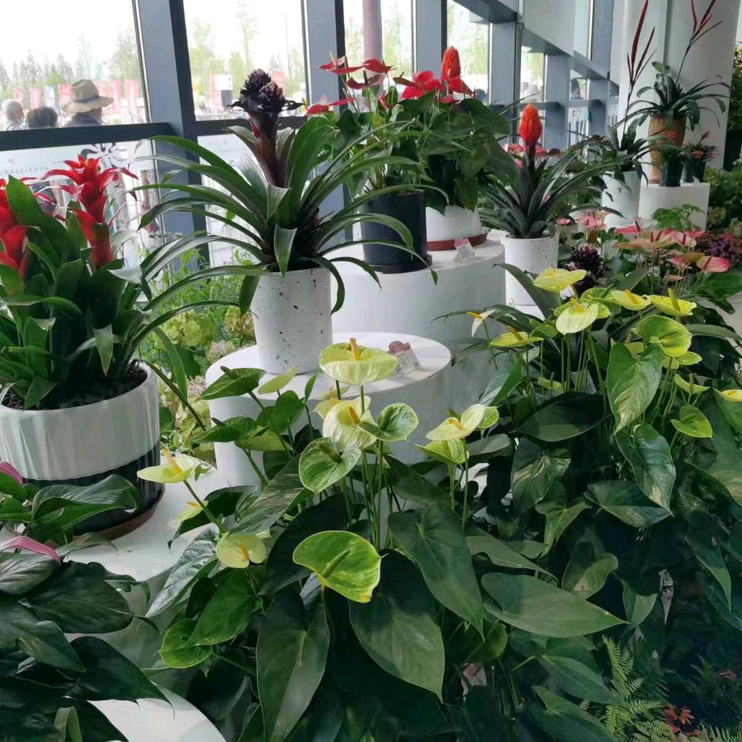 无怨无悔💤💤💤