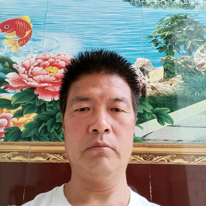 我是单身郭进平