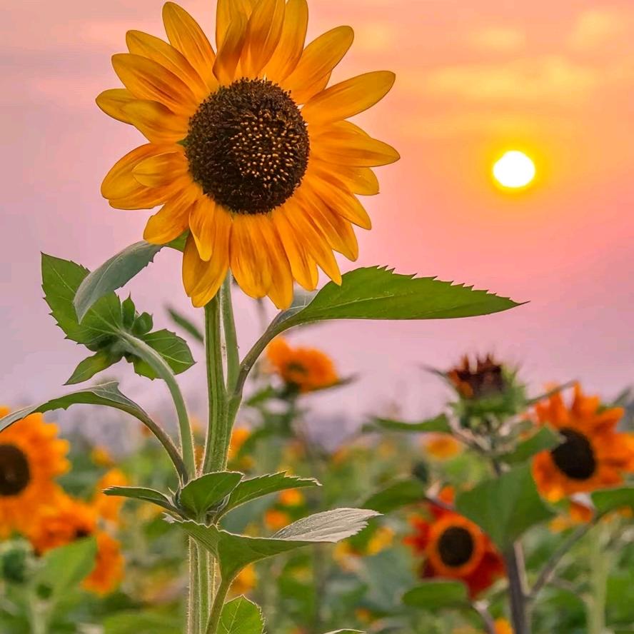 ℳ̶̶̶̶♡̶҉等待ℳᥫᩣ