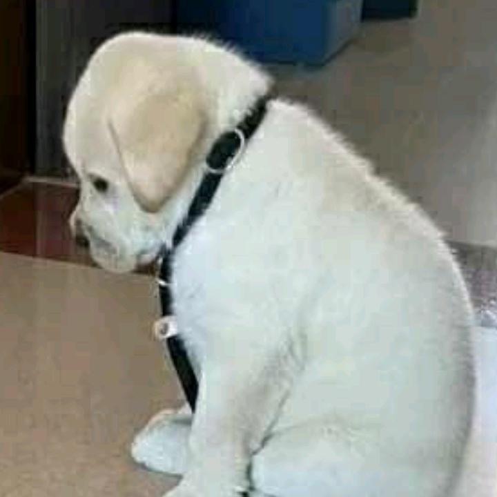 🌈🌈🌈土豆丝