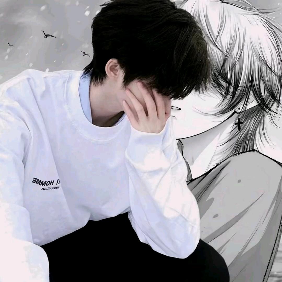 Q宝头像