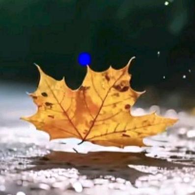 秋🍁恋