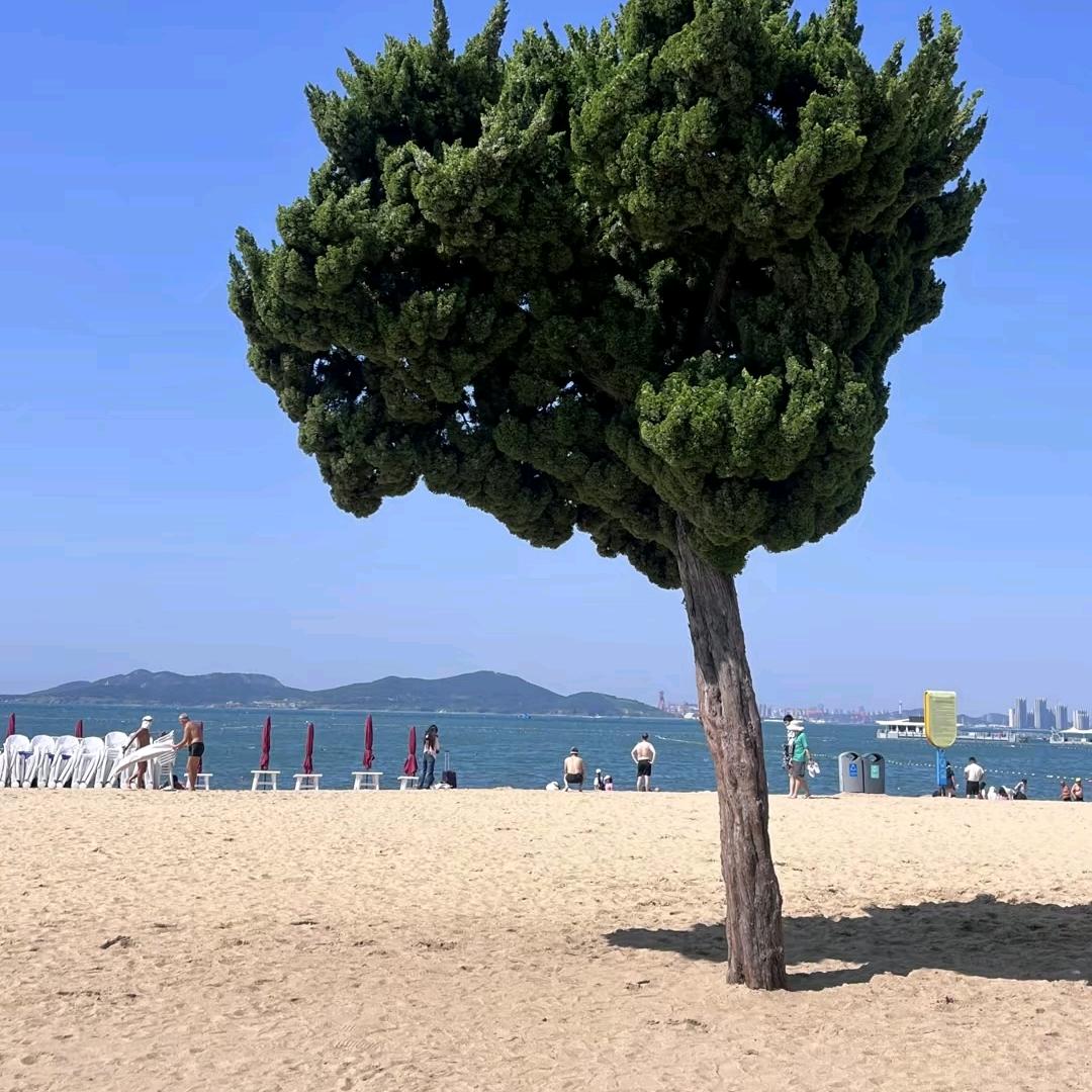 斗音小助手