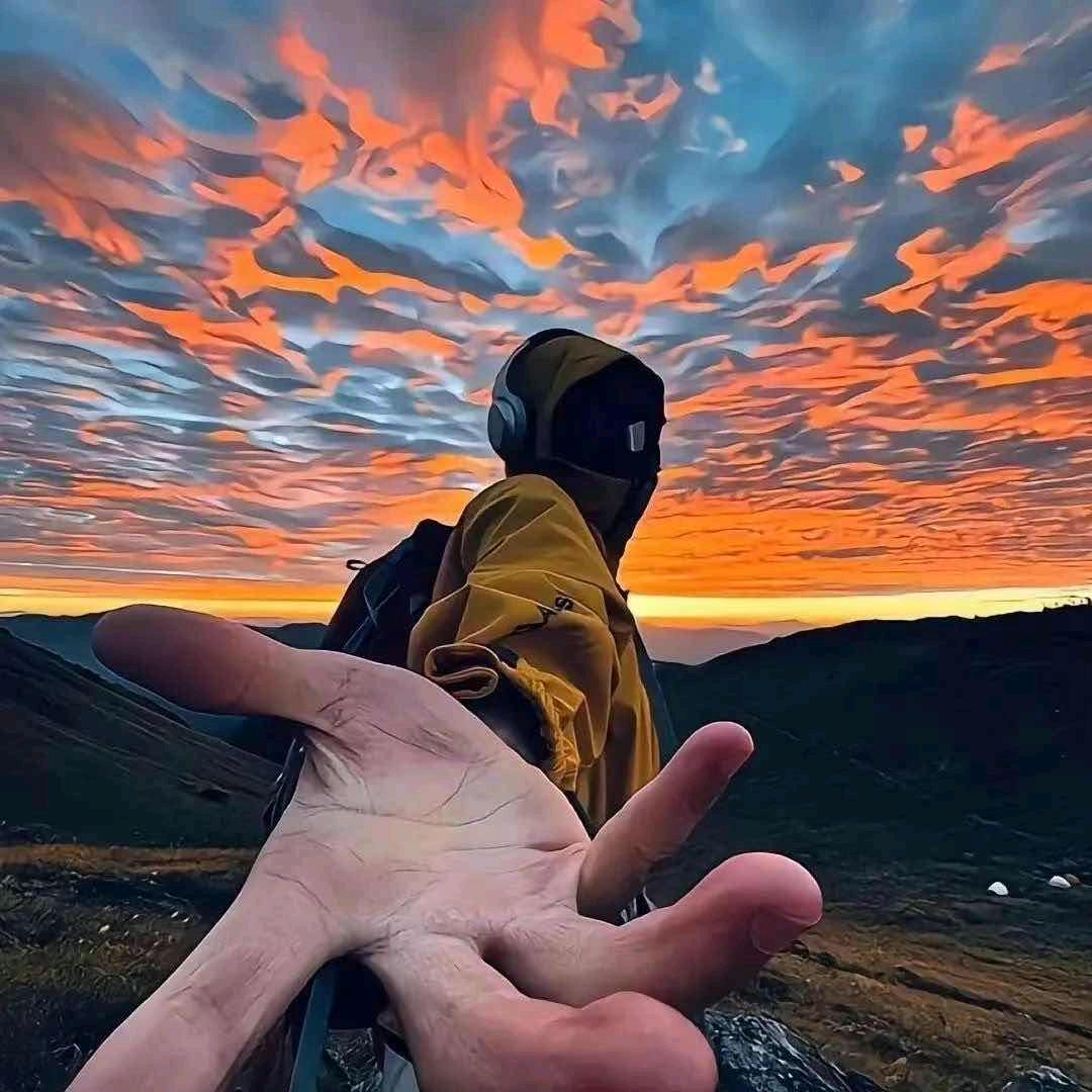碎星