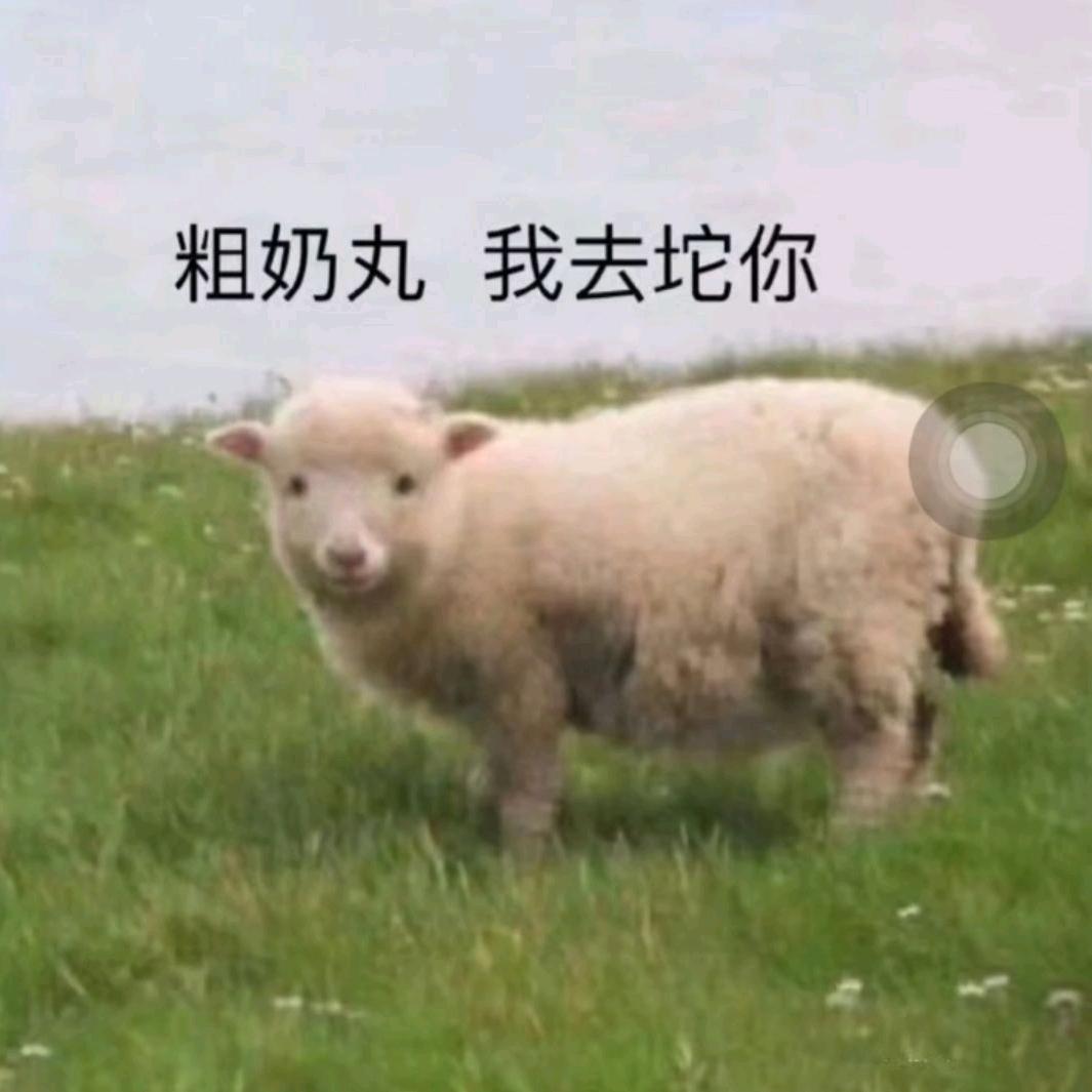 野驴