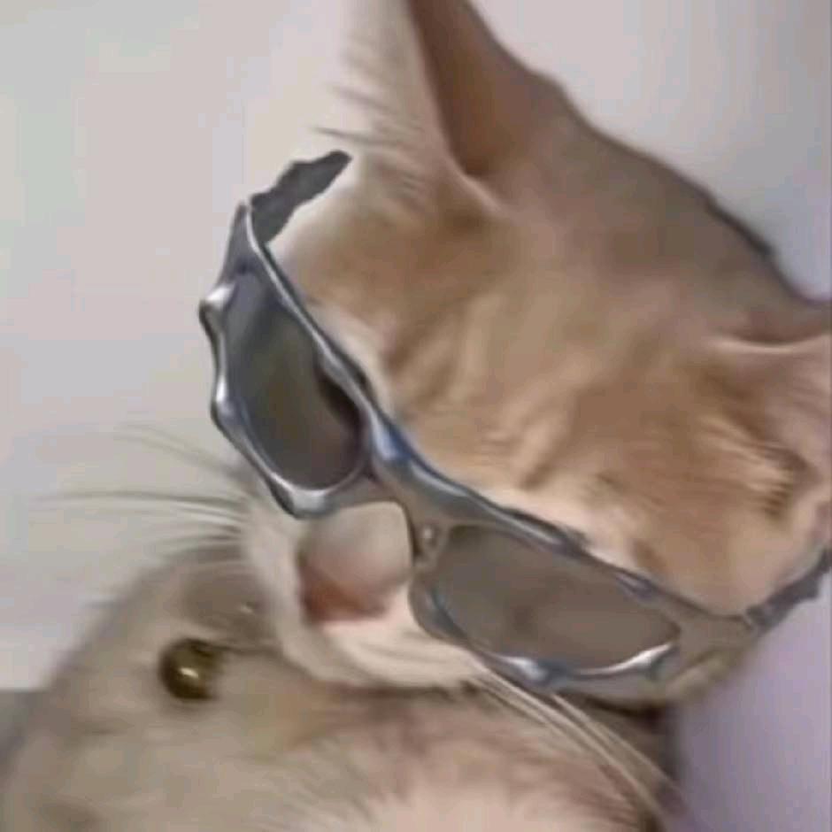 有理想的小恐龙