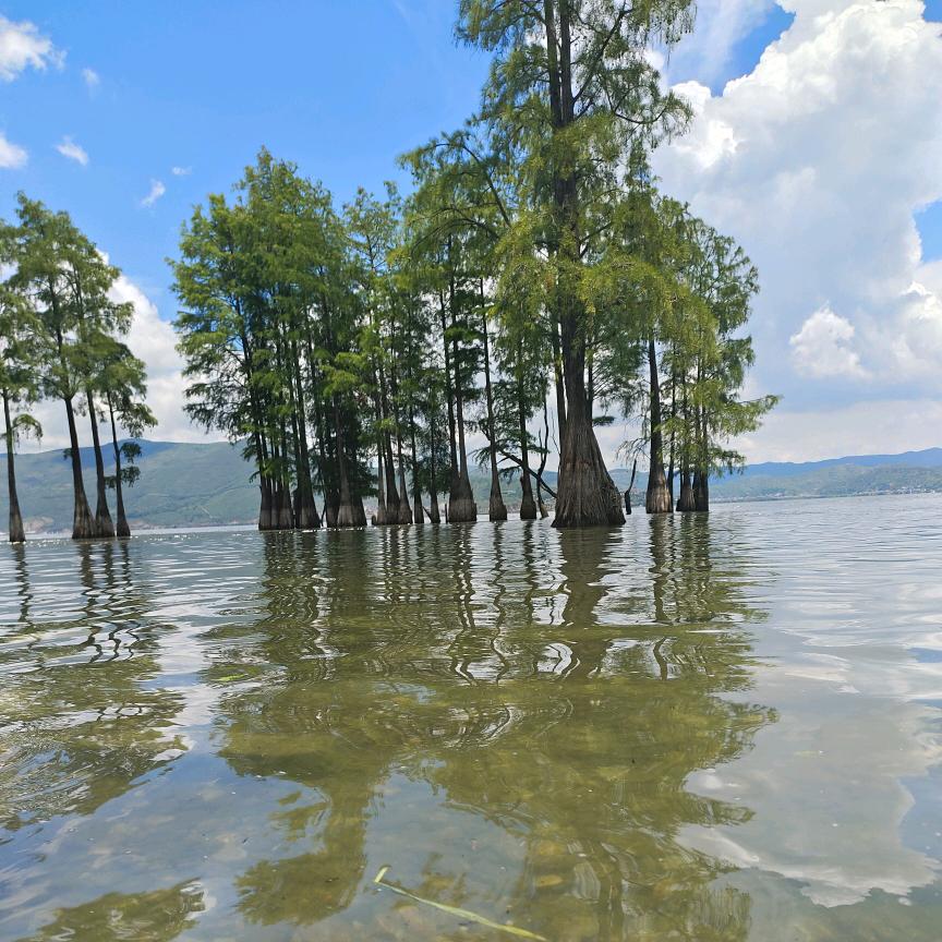 🐉缘  🦚以  🦜定    🦋