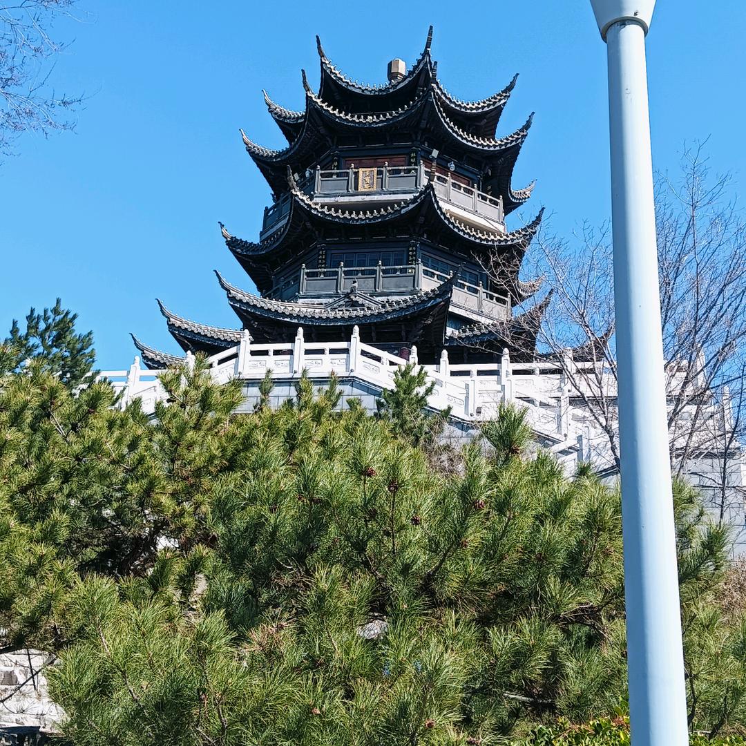 田金良