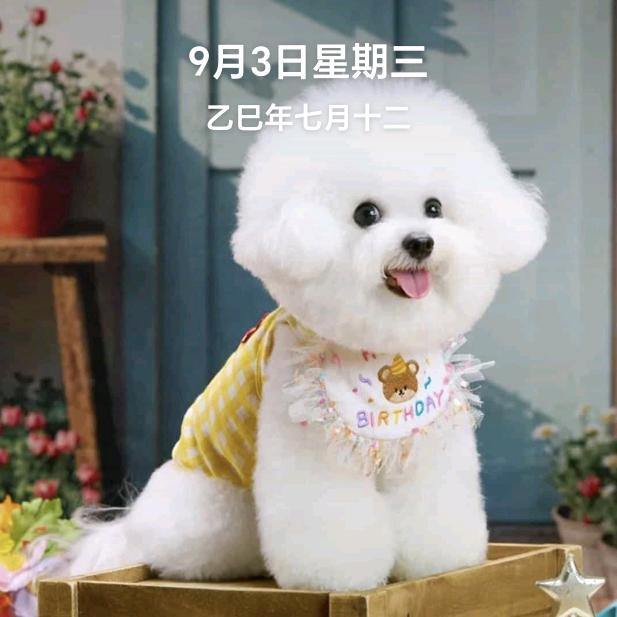 黑鹰战神