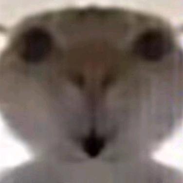 完了