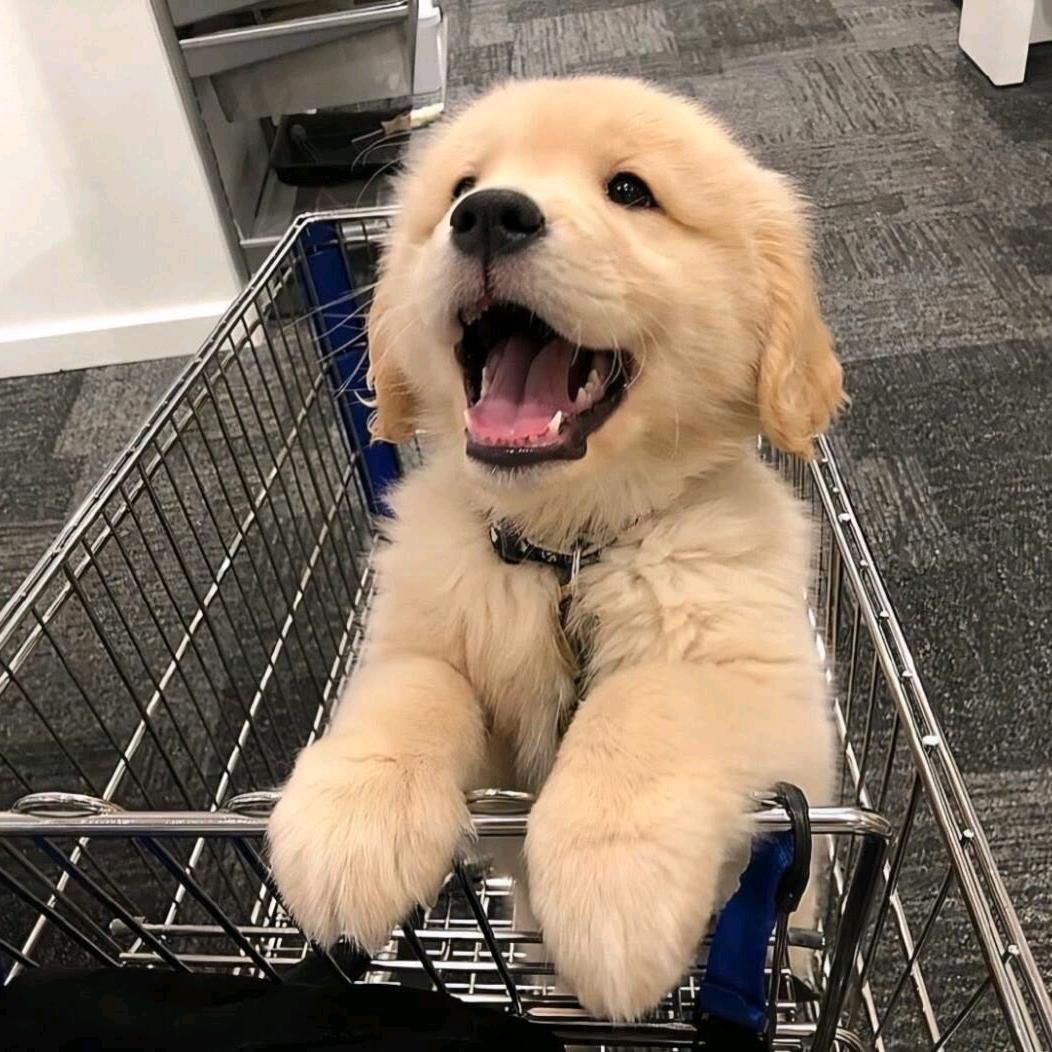 给我剥个橘子吃