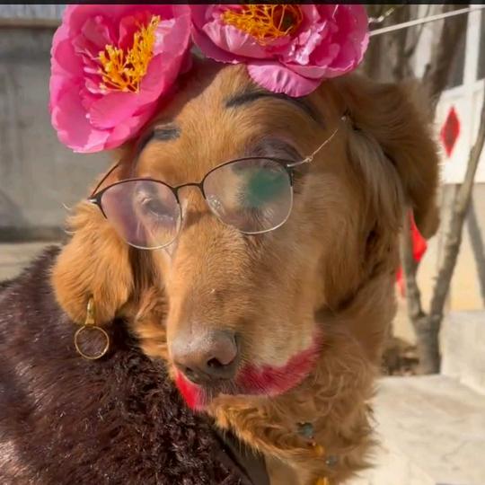 人生要长寿抽烟喝酒吃肥肉！