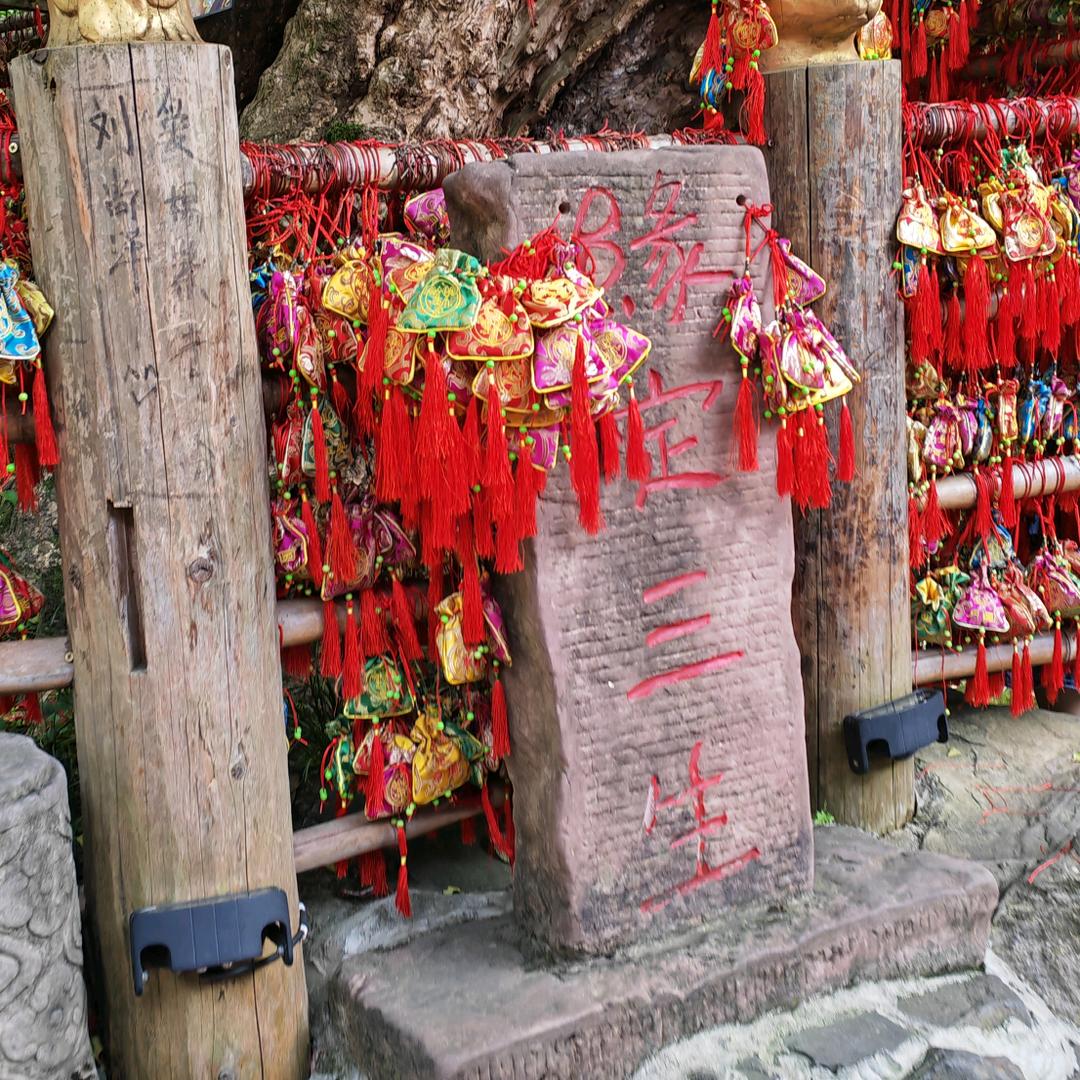 🍀世界@❄️🍁那么大