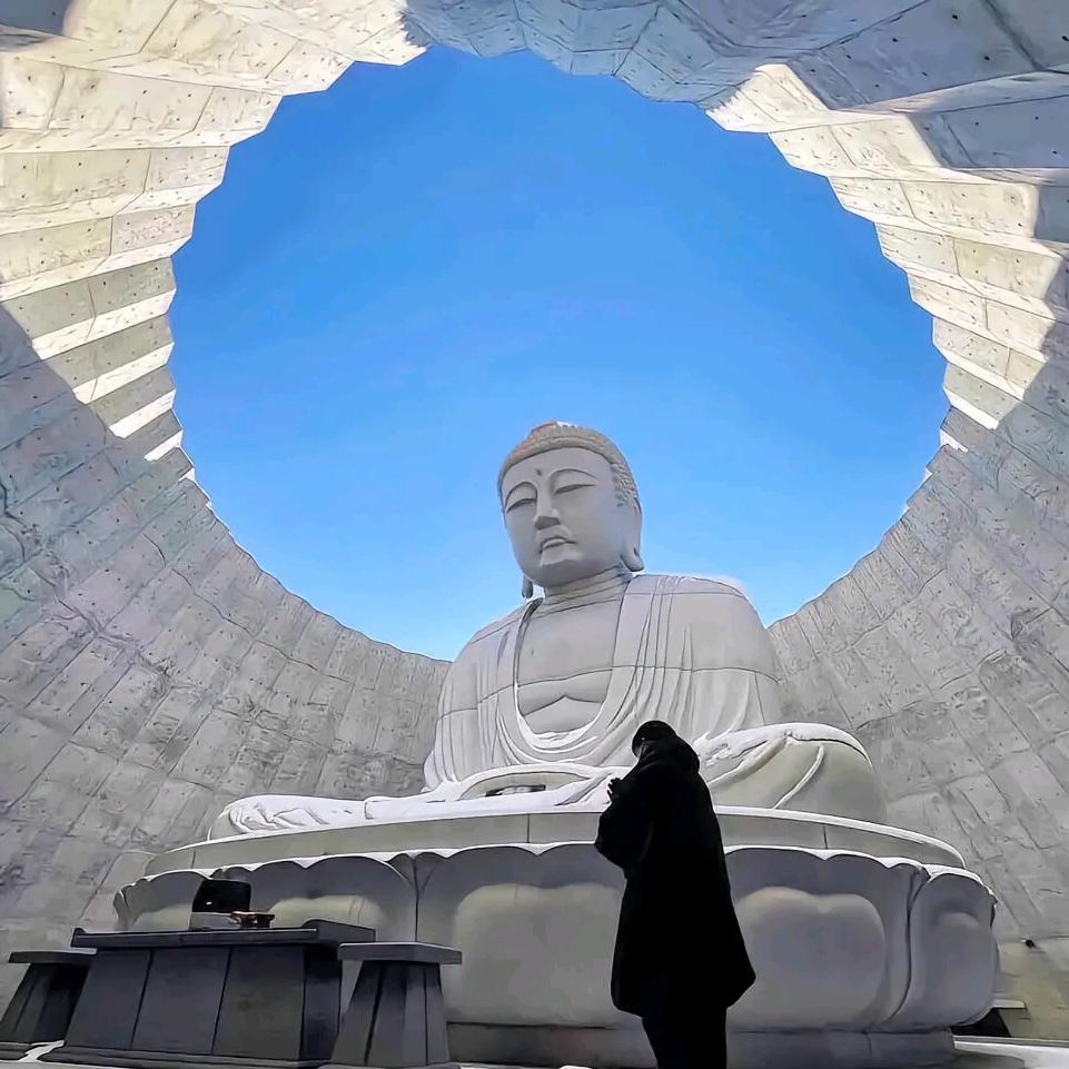 小新特价优选车